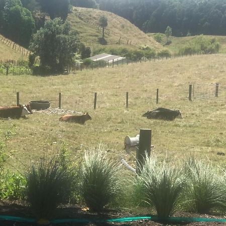 Pukeko Lodge Bnb New Plymouth Eksteriør bilde
