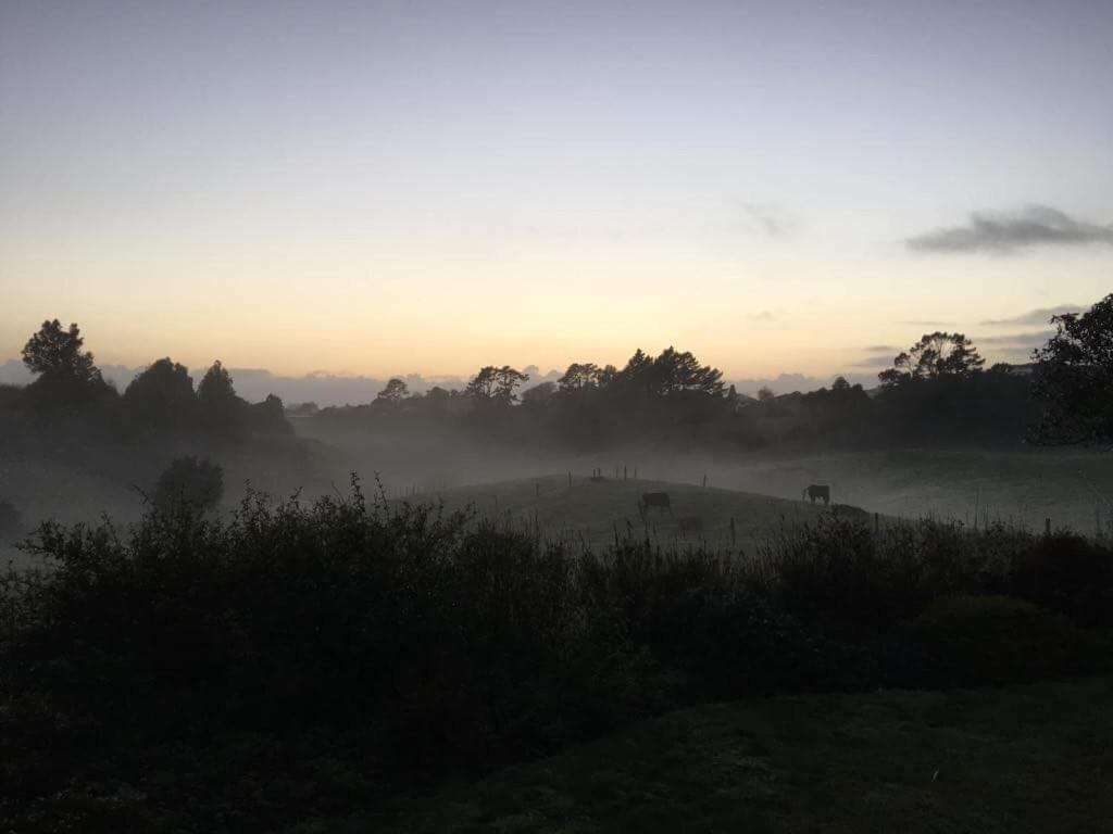 Pukeko Lodge Bnb New Plymouth Eksteriør bilde
