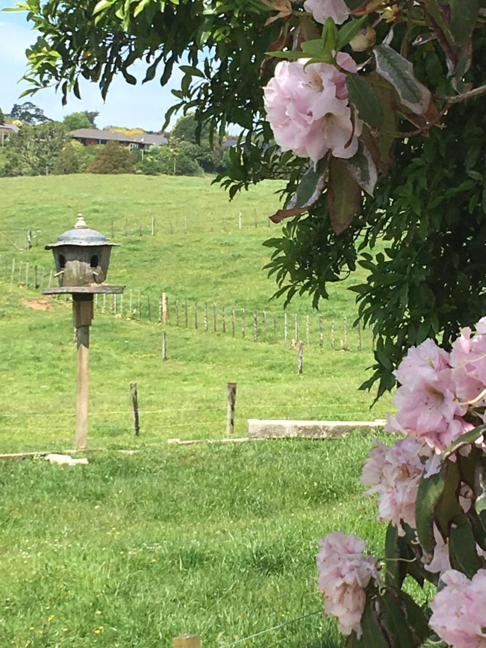 Pukeko Lodge Bnb New Plymouth Eksteriør bilde