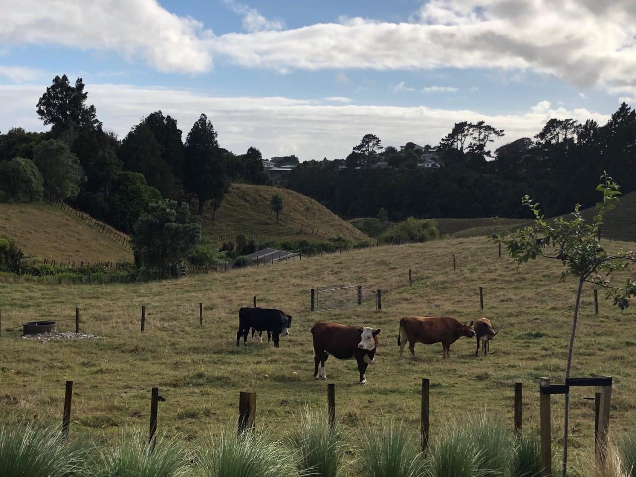 Pukeko Lodge Bnb New Plymouth Eksteriør bilde