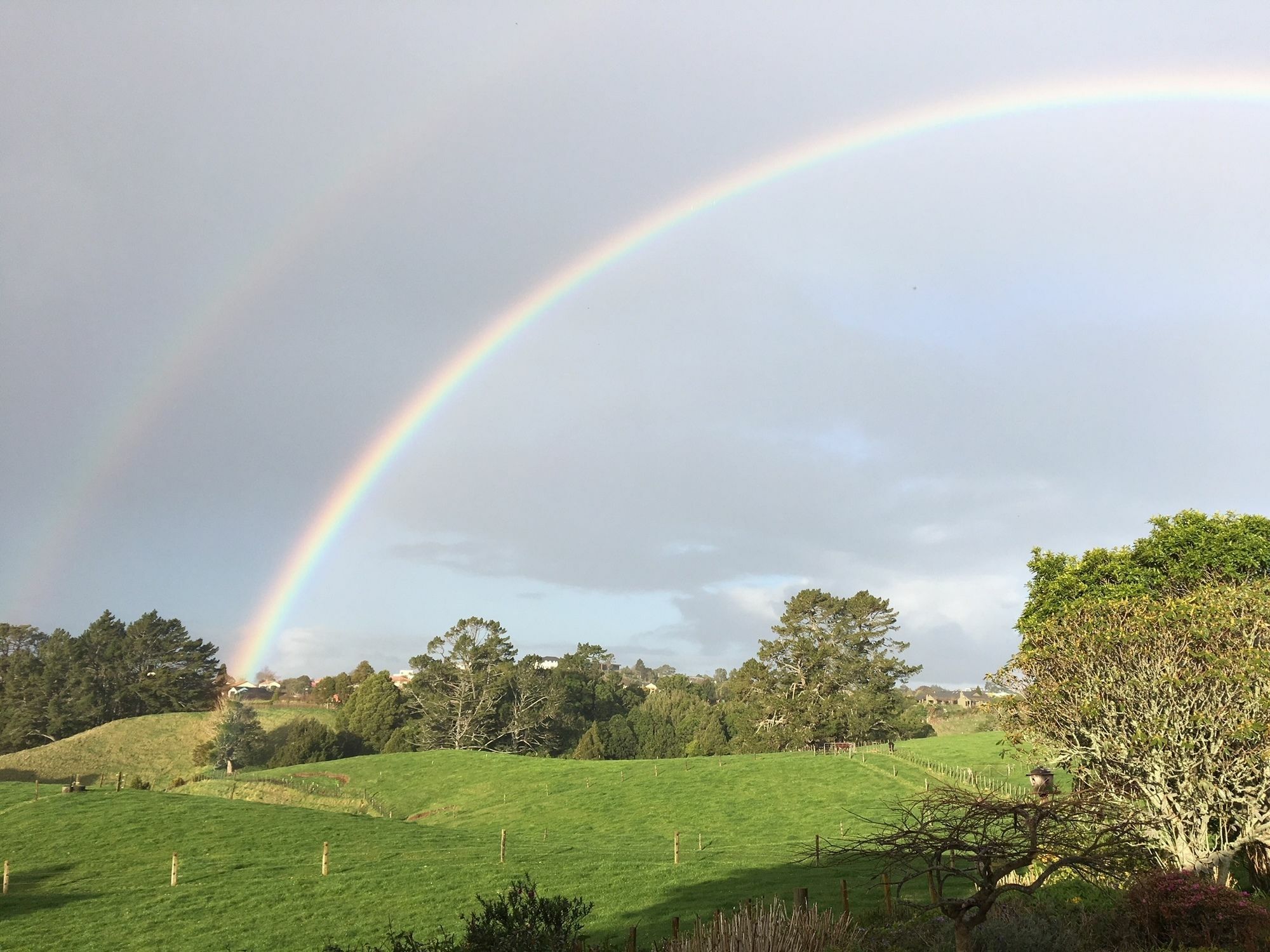 Pukeko Lodge Bnb New Plymouth Eksteriør bilde
